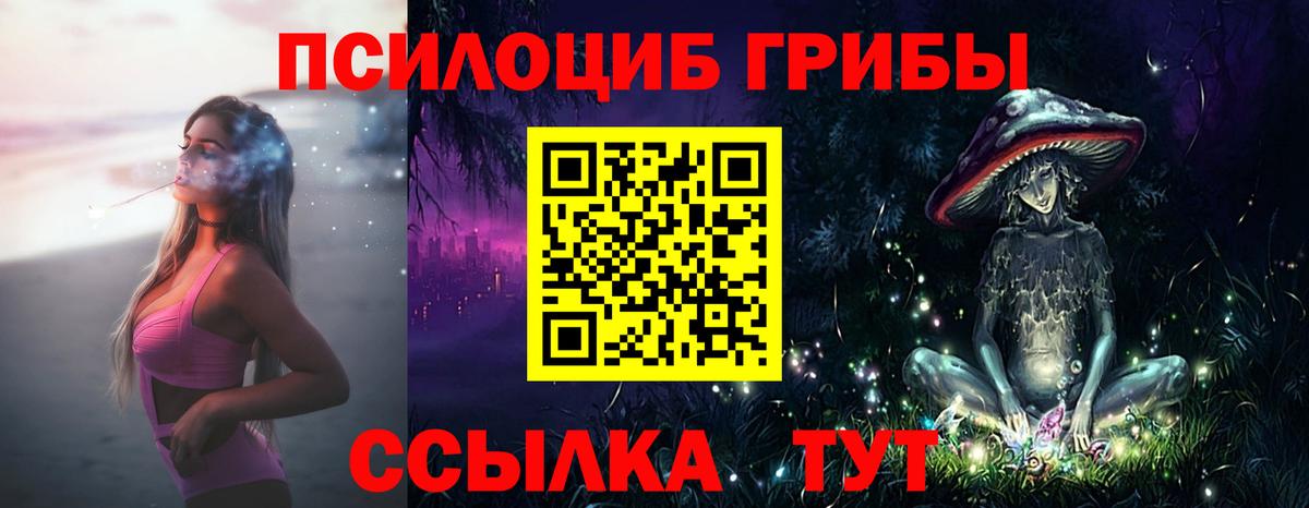 Галлюциногенные грибы Magic Shrooms  Вход с VPN  Стрежевой  Галлюциногенные грибы Psilocybine cubensis 